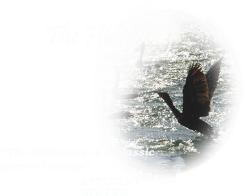 The Hideaway